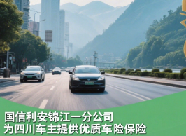 国信利安车险